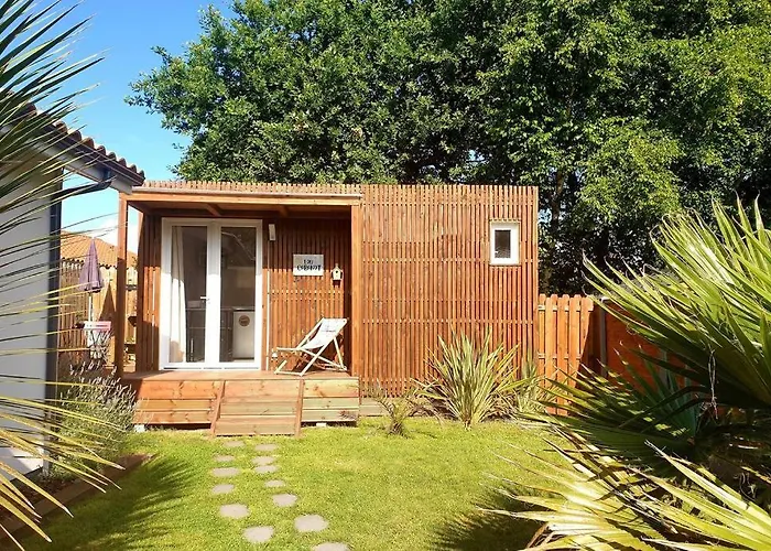 Lou Cabanot Appartement Sanguinet